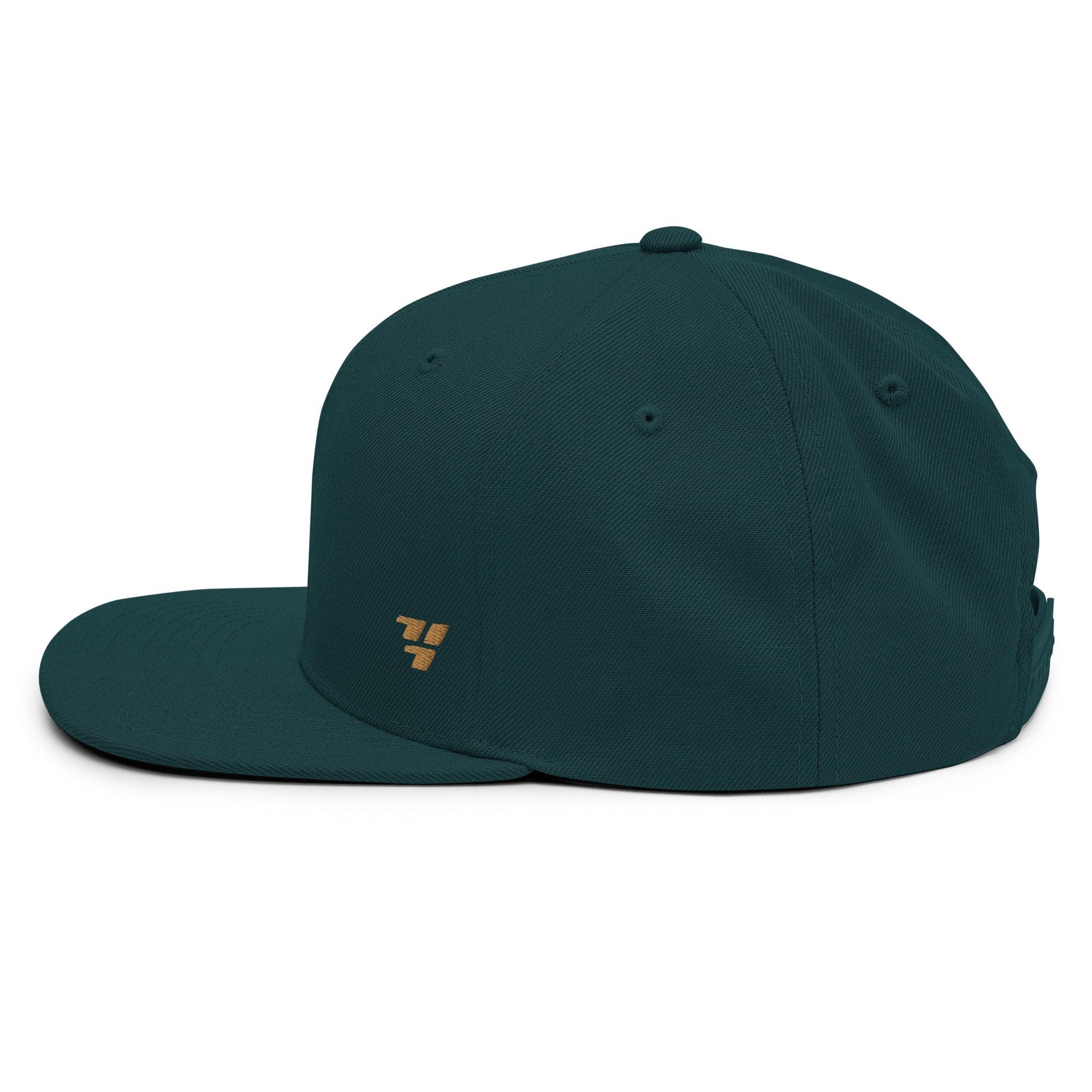 717 Lux Snapback Hat - Image 15